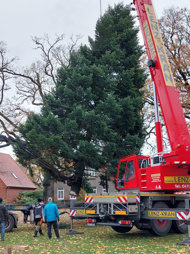 Das aktuelle Bild hat keinen Alternativtext. Der Dateiname ist: Weihnchtsbaum-Debstedt-scaled.jpg
